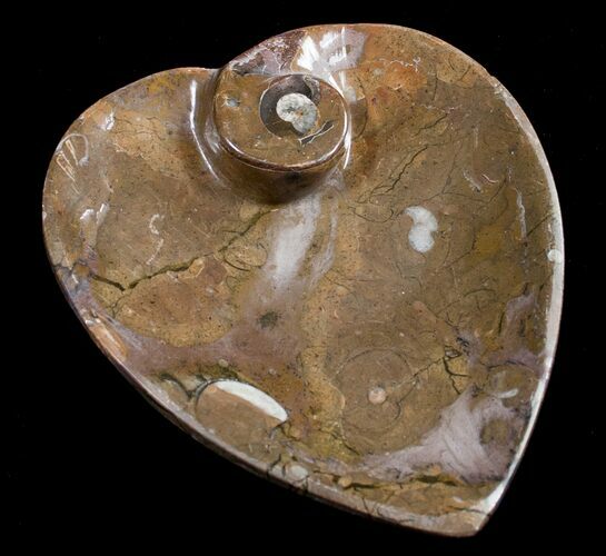 Heart Shaped Fossil Goniatite Dish #8861